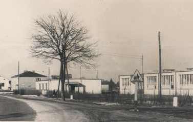 Z prawej strony widoczne dwa budynki szkoły podstawowej w cekowie, zdjęcie czarnobiałe z 1964 roku