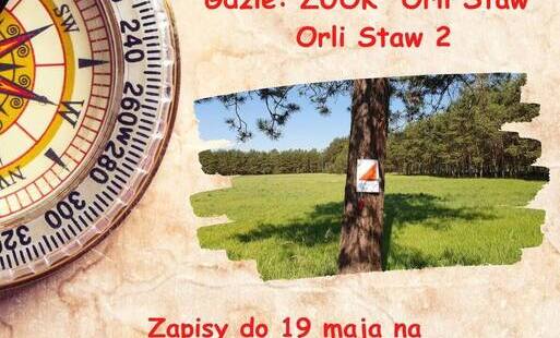 Zdjęcie artykułu z dnia 13-05-2026