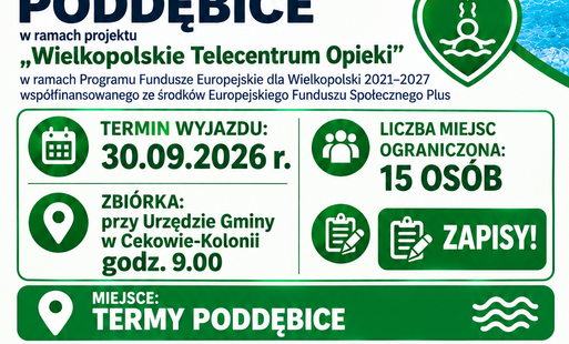 Zdjęcie do Zapraszamy na wyjazd na Termy Poddębice 