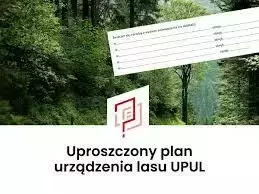 Zdjęcie artykułu z dnia 25-07-2025